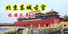 :插插插爽中国北京-东城古宫旅游风景区